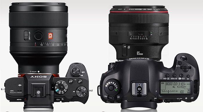 Canon EF 85mm F1.2 vs Sony 85mm F1.4 GM comparison