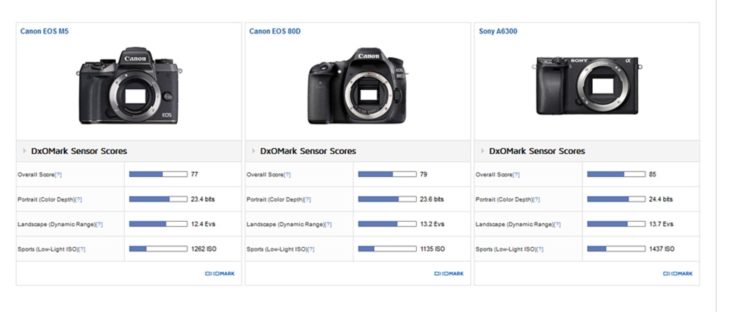 Afleiding te veel lamp Canon EOS M5 sensor is made for mirrorless, DxOMark says