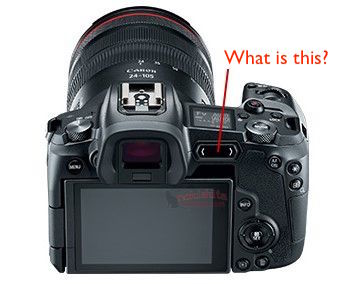 Which Canon EOS R camera? - Camera Jabber